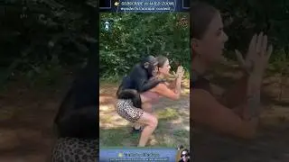 20 AMAZING Animal Clips You MUST See! ⚡ WILD ZOOM #animals #animalshorts  #animalclips  #wildlife