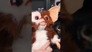 Gizmo Prop Replica? Trick or Treat Studios