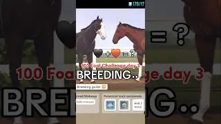 BREEDING In Rival Stars Horse racing! 100 Foal Challenge Day #3 #rivalstarshorseracing 🖤+🤎=?