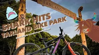 Great Whyte Creations - Shark hits Tarland Trails bike Park - Best mtb trails in Scotland?!?!