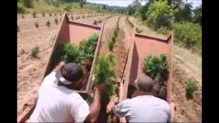 XXW    Tree Planting Tools We Offer at Our Tree Farm