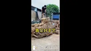 Hand-carved craftsmanship, amazing skills!