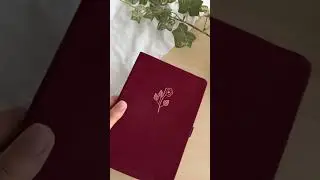 february bullet journal ideas for beginners 2023 💌🥀🫶🏼