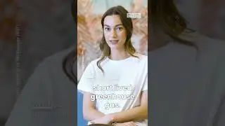 Решение проблемы изменения климата, вызванного выбросами метана