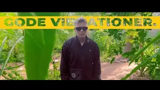 Lucas Bloom - Gode Vibrationer (Official Music Video)