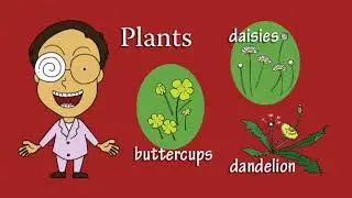2b Plants and Animals Song by Peter Weatherall