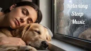 Cozy Rainy Night Sleep Music  Woman & Dog Comfort 🌙 10H
