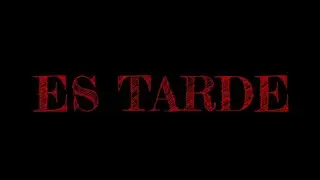 POEMA DE UN ACCIDENTE. Es tarde .Gavil&aacute;n #videopoema #recitar