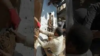 نبش قبور من منطقة لي اخر لحفظ رفات
