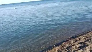 Анапа. Чистейшее море после шторма. Утренний пляж Высокий Берег. 26 августа 2025. 8 утра 