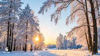 Soothing Winter Melodies – Calm Your Mind & Ease Tension