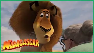 DreamWorks Madagascar em Português | O Avô | Compilação