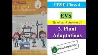 2. Plant Adaptations, Class 4 EVS Question and answers @trickstocrack