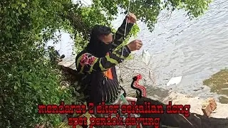 Spot pondok dayung spot nya para angler pinggiran || Mantapppp..