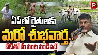 Andhra Pradesh Farmers Get Fresh Good News Crop Support Assured | Chandrababu Naidu | Popular TV
