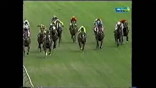 Sat 31 Jan 2004 Pt 2