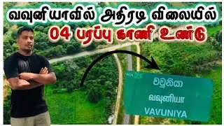 வெளிநாடு செல்ல உள்ளார்கள் உடனடியாக பெற்றுக் கொள்ளவும் | vavuniya 