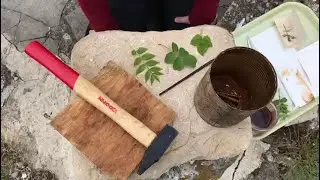 Tuto Nature - Réaliser des empreintes de feuilles