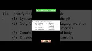 NEET Biology Question Practice #neet #pw #motivation #shorts