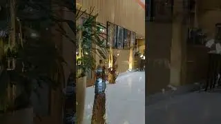 Zone by the park hotel New Digha