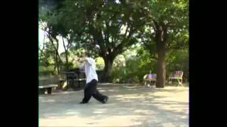 陳泮嶺太極拳 2011年 01 洪澤漢(易宗唐手 洪懿祥次子) Chen Pan Ling Taijiquan