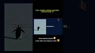 POV🗣️: This video changed my life 😳 viral penguin 🐧 story #penguin #littlepenguin #tamilviral