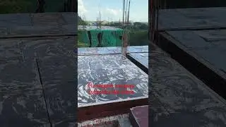 shuttering oil kyu krte h ?👷(शटरिंग ऑयल कैसे लगाए) How to apply shuttering oil #viral #construction