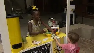 10-year-old entrepreneur starts bee-friendly business