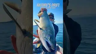 Slippery when WET 🧊 King Salmon #fishing #tacoma #washington 🍎 #comedy