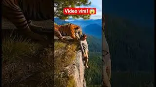 video viral amazing 😱😱 #food #amazingmemes #funny #crocodile