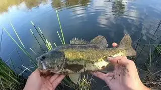 Late spring bass fishing in Orange County
