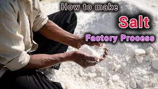 Incide salt making process।।  How to salt making process || complete packed salt
