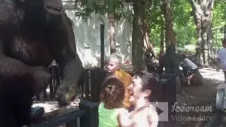 LA FINCA DE LOS MONOS (Parque Tem&aacute;tico)