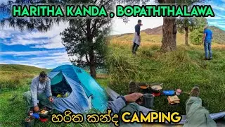 හරිත කන්ද CAMPING 🏕 , Haritha kanda camping ,VLOG 94 #harithakanda #bopaththalawa #srilanka