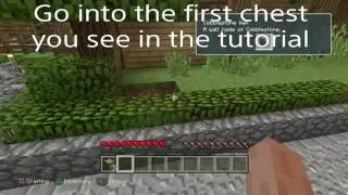 Trophy Guide #1 Minecraft: Music to my Ears