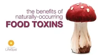 The Benefits of Naturally-Occurring Food Toxins | John Douillard's LifeSpa