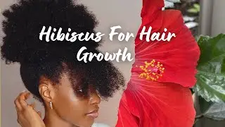 THE BEST HIBISCUS TEA FOR MASSIVE HAIR GROWTH #haircare #hairgrowth #hairproducts