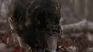National Audubon Society's HAWKS Up Close | VHS rip | 1992