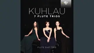 Trio in B Minor, Op. 90: I. Allegro non tanto