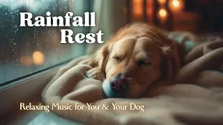 Rainfall Rest 🌧️🐾 | 12 Hours of Cozy Rain Ambience | Dog Sleep & Calm