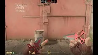 CS2: Cheap RED Glove and Knife Combo Under 250