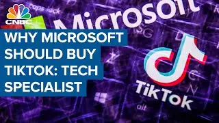 Why Microsoft's acquisition of TikTok makes sense: Specialist