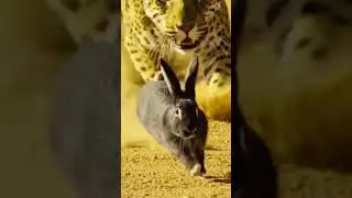 Suspenseful Escape Chase