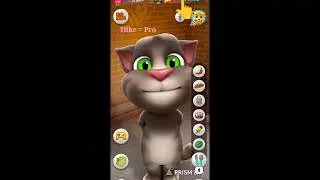 talking tom game