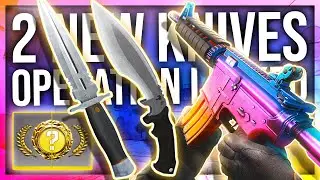 CS:GO OPERATION 12 LEAKED! (NEW KNIVES + SKINS)