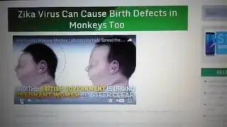 Zika Virus Can Cause Birth Defects in Monkeys Too