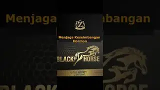Review Madu Kuat untuk Pria [obat kuat alami tahan lama] Black Horse Honey #obatkuatalami #obatkuat