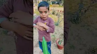 ye lo Mayra injection#trending #shorts #comedy video #manju Kashyap 😱