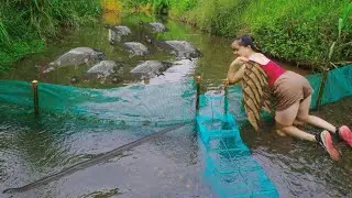 highland fish trap, stream blocking technique to trap fish | Truong Thị Ghen