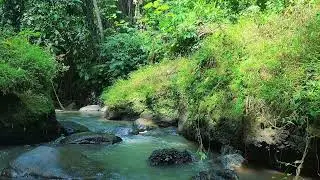 River ASMR Sounds &ndash; Aspen Hollow &mdash; no voices, pure stream.